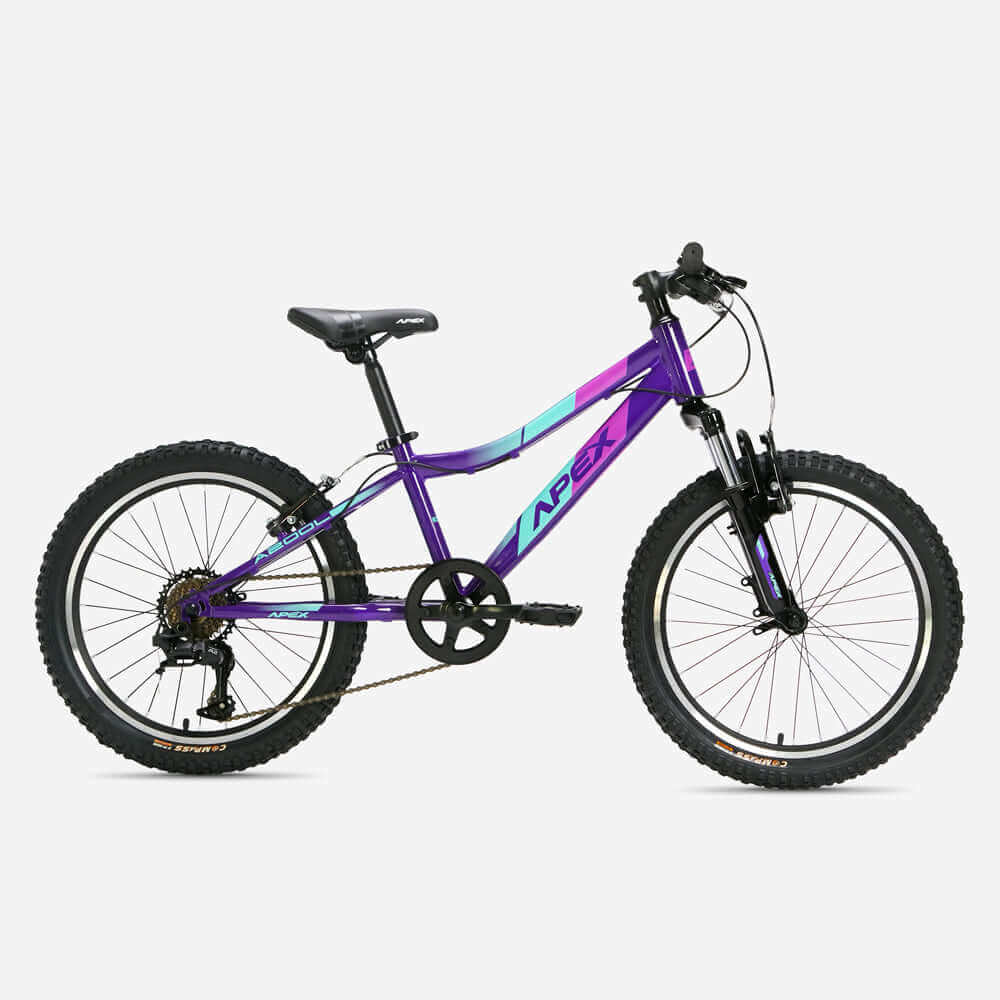 A200 Ladies 20 Inch Steel MTB